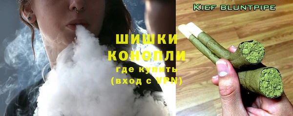 стаф Гусиноозёрск