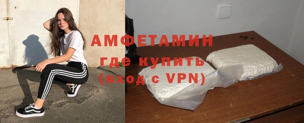ГАЛЛЮЦИНОГЕННЫЕ ГРИБЫ Гусь-Хрустальный