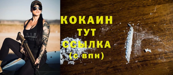 ГАЛЛЮЦИНОГЕННЫЕ ГРИБЫ Гусь-Хрустальный